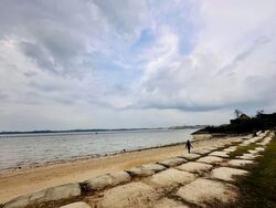 The Shorefront (D17), Apartment #542424431